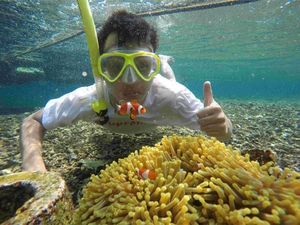 Pulau Pahawang Memang Memukau