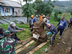 Cari Kepala Arca Ganesha, BPCB Akan Ekskavasi Lanjutan di Dieng