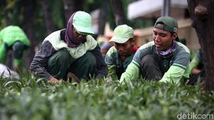 Tanaman Hijau Percantik Trotoar Jl Kramat Raya