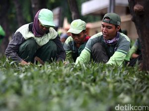Tanaman Hijau Percantik Trotoar Jl Kramat Raya