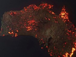 Foto Hoax dan Fake News Kebakaran Hutan Australia Menyebar Luas di Sosmed