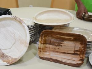 Piring Pelepah Pinang Pengganti Plastik Asal Sumsel Mulai Dipasarkan