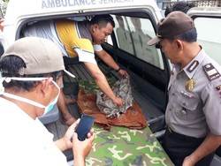 Mayat Bayi Ditemukan Petugas Irigasi di Selokan Sawah Jember