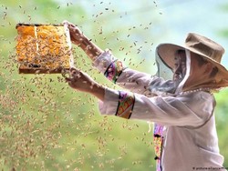 Manfaatkan Aplikasi Berbagi Video, Petani China Raup Untung Besar Saat Panen