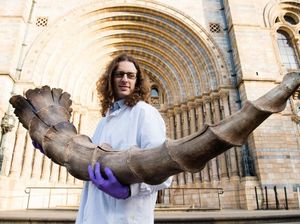 Hewan Ajaib dalam Film Fantastic Beast Akan Dipamerkan di London