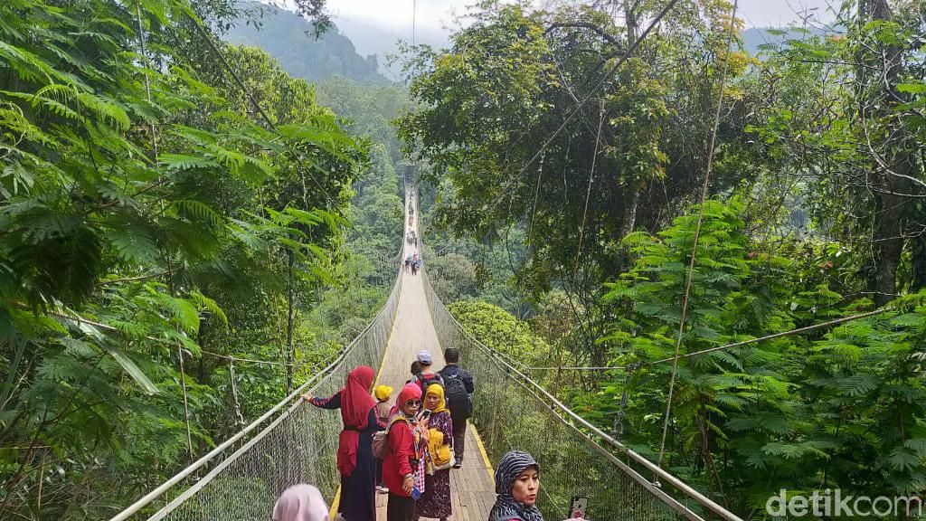 Potret Jembatan Gantung Instagramable di Sukabumi Potret Jembatan Gantung Instagramable di Sukabumi