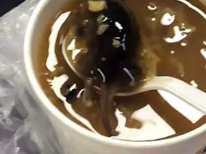 Hii Jijik! Wanita Ini Temukan Tikus Utuh Dalam Bubur yang Disantapnya