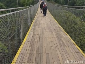 Pacu Adrenalin di Jembatan Gantung Terpanjang se-Asia Tenggara