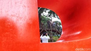 Foto Yuk! di Jembatan Pohon Taman Kebon Jeruk