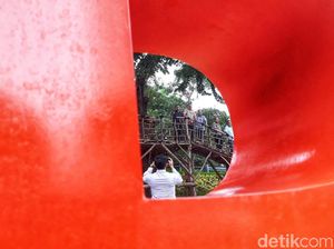 Foto Yuk! di Jembatan Pohon Taman Kebon Jeruk