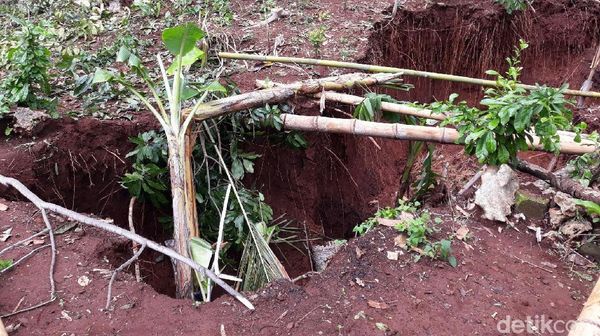 Usai Lubang Misterius, Rekahan Tanah 16 Meter Muncul di Gunungkidul