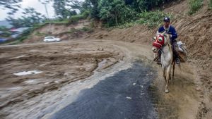 Kuda Jadi Sarana Transportasi Logistik Bencana di Sukajaya