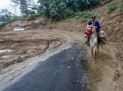 Kuda Jadi Sarana Transportasi Logistik Bencana di Sukajaya