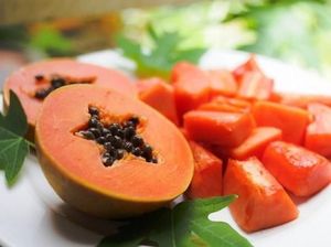 Pepaya California Ternyata Asli Indonesia, Ini Faktanya Pepaya California Ternyata Asli Indonesia, Ini Faktanya