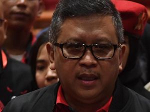 Kelakar Hasto PDIP di Mudik Gratis: Warna Bus Tunjukkan Warna Koalisi Besar