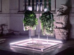 Keren! Ada Kebun Sayur Minimalis yang Bisa Tanami Puluhan Jenis Sayuran