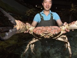 Temuan Seafood Ukuran Jumbo hingga Makanan Sumber Probiotik