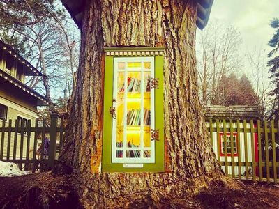 Foto: Pohon Usia 110 Tahun Mati, Diubah Jadi Perpustakaan Cantik Seperti Ini