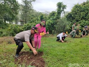 Saat Hutan Gundul di Bojonegoro Dihijaukan Kembali