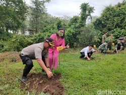 Saat Hutan Gundul di Bojonegoro Dihijaukan Kembali