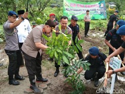 Tanam Ribuan Pohon, Kapolda Banten Janji Hukum Penambang Liar