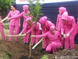 156 Ribu Pohon Ditanam di Jatim Cegah Banjir pada Masa akan Datang
