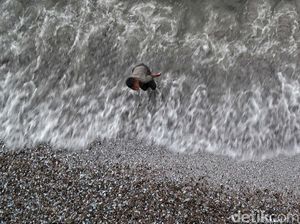 Kekhawatiran Potensi Rob di Pesisir Utara Jakarta