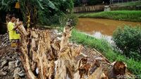 Tanggul Sementara di Kali Pesanggrahan Selesai Diperbaiki
