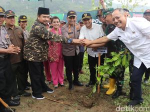 Pelajar di Trenggalek Tanam 5.500 Pohon yang Disebar di 19 Titik