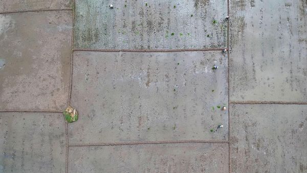 Kementan Realisasikan 10.000 Hektare Sawah Baru