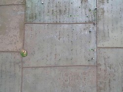 Mencetak Sawah Baru atau Mendorong Pangan Lokal?