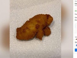 Mirip Seperti Mamalia Langka, Chicken Karaage Ini Dijual Rp 68 Juta