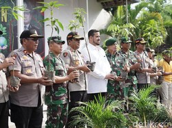 Ini Cara Kota Probolinggo Lestarikan Mangga Manalagi