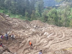 Perhutani Akan Setop Kerja Sama dengan Pengelola Perusak Hutan Lereng Lawu