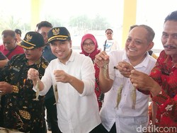 Pemprov Jatim Kembangkan Budidaya Udang Vaname di Pesisir Selatan