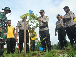 Taman dan Bantaran Sungai Madiun Dipercantik dengan Penanaman Pohon