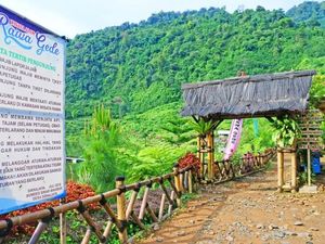 Yuk, Intip Taman Baca di Wisata Alam Rawa Gede Yuk, Intip Taman Baca di Wisata Alam Rawa Gede