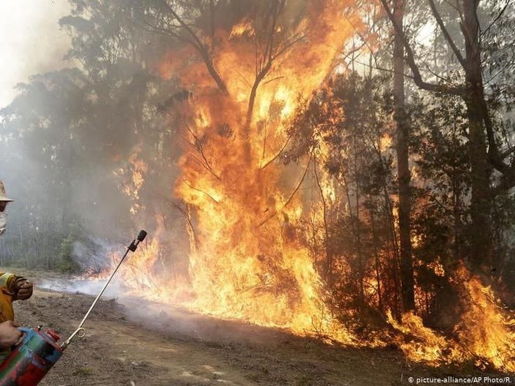 Perubahan Iklim, Kebakaran Hutan Jadi Risiko Global Masa Depan Perubahan Iklim, Kebakaran Hutan Jadi Risiko Global Masa Depan