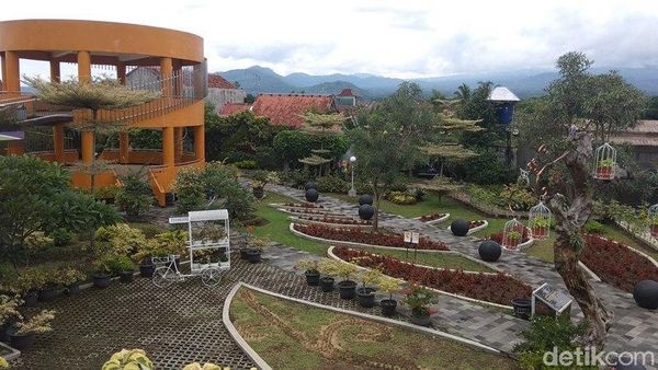 Foto: Kebun Bibit Senopati nan Instagramable di Magelang
