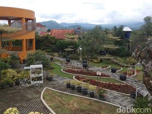 Foto: Kebun Bibit Senopati nan Instagramable di Magelang Foto: Kebun Bibit Senopati nan Instagramable di Magelang