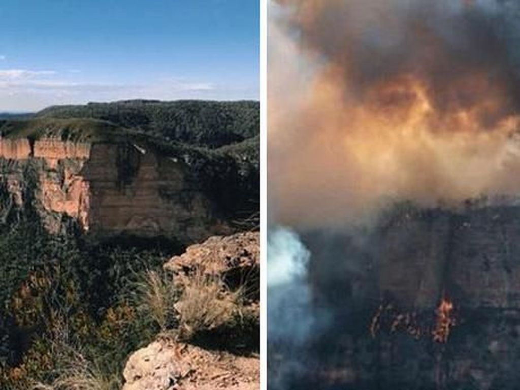 Potret Memprihatinkan Sebelum dan Sesudah Kebakaran Australia