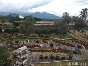 Yang Baru di Magelang, Kebun Bibit Senopati Nan Instagramable Yang Baru di Magelang, Kebun Bibit Senopati Nan Instagramable