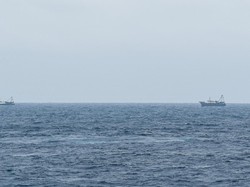 Mal Masih Tutup karena Banjir, Jepang-AS Investasi di Natuna