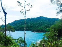 Begini Pesona Alami Pantai Batu dan Teluk Ijo Banyuwangi
