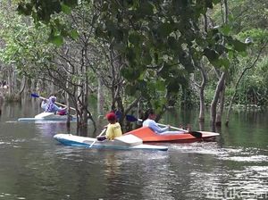 6 Rekomendasi Wisata Kece di Banyuwangi, Mulai Pantai hingga Air Terjun 6 Rekomendasi Wisata Kece di Banyuwangi, Mulai Pantai hingga Air Terjun