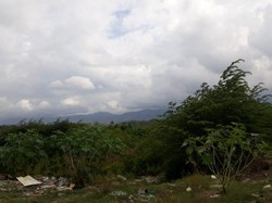 Setahun Berlalu, Lokasi Likuifaksi di Petobo Jadi Hutan-Tempat Cari Besi
