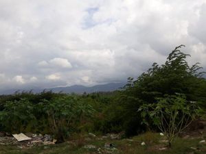Setahun Berlalu, Lokasi Likuifaksi di Petobo Jadi Hutan-Tempat Cari Besi Setahun Berlalu, Lokasi Likuifaksi di Petobo Jadi Hutan-Tempat Cari Besi