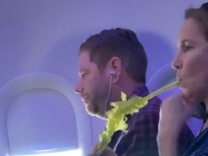 Aksi Ngemil Sayur di Kursi Pesawat Jadi Viral, Kayak Apa Sih?