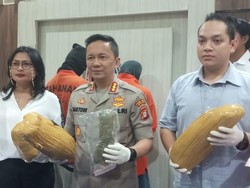 Polres Jaksel Tangkap Pengedar yang Simpan 5,2 Kg Ganja di Sebuah Ruko