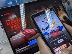Pengamat: Bukan Blokir Netflix yang Diburu, Tapi Kejar Pajaknya